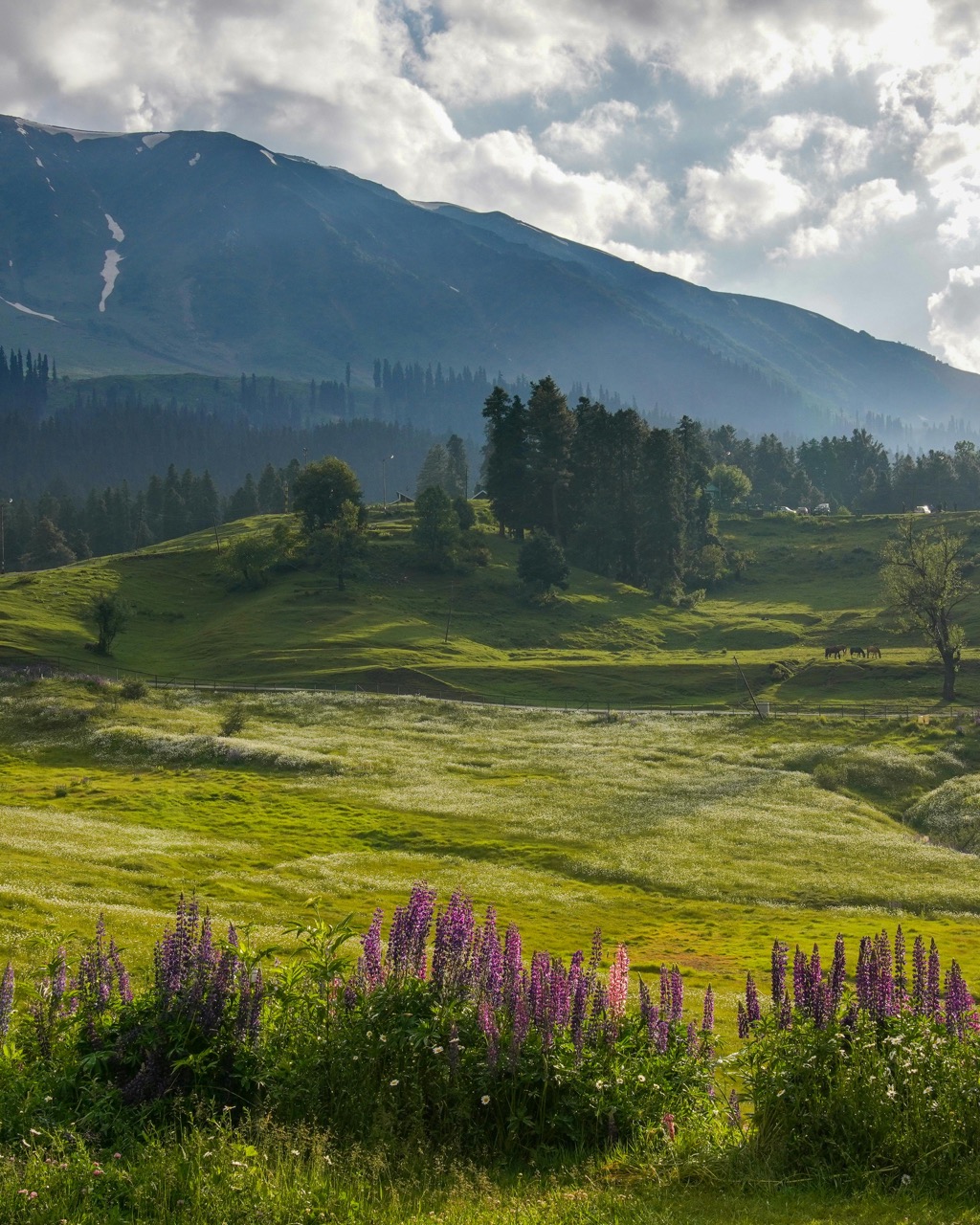 The Slow Kashmir Retreat package at Walnut Village Resort Pahalgam, focusing on nature, stillness, and relaxation in Kashmir